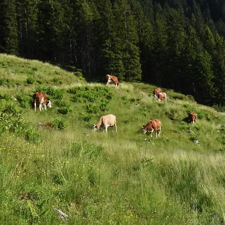 Apartamento Fuchsbauer