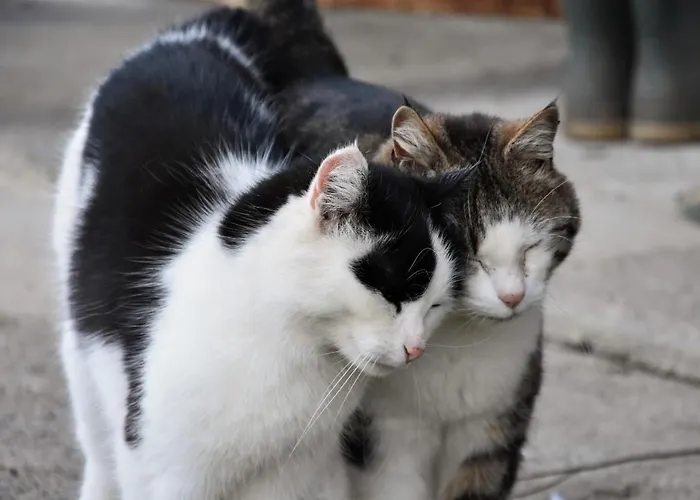 Fuchsbauer Apartamento Hopfgarten im Brixental