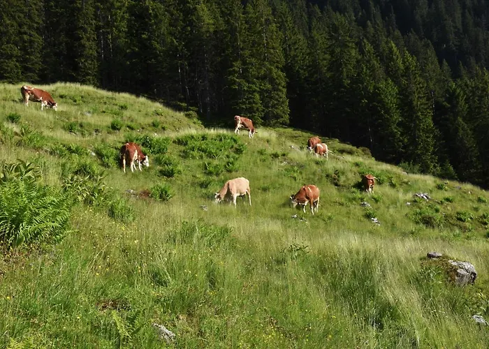 Apartamento Fuchsbauer